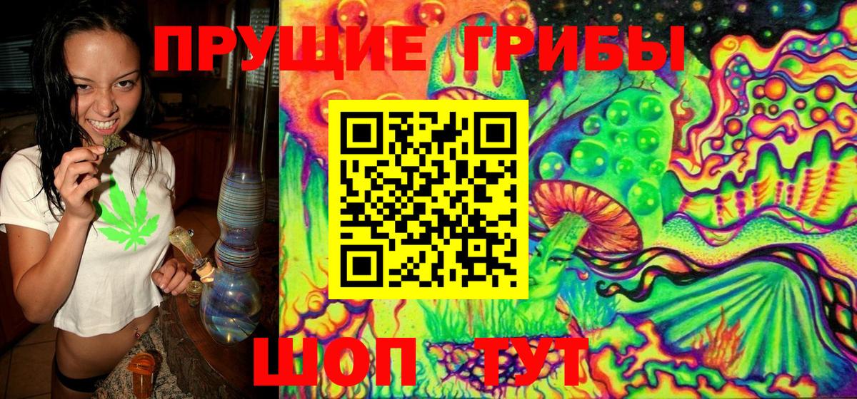 Галлюциногенные грибы MAGIC MUSHROOMS  Вход с VPN  Тайшет 