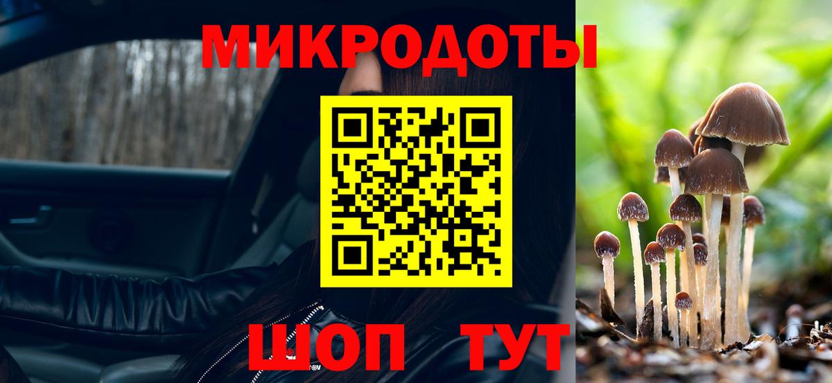 Псилоцибиновые грибы прущие грибы Тайшет